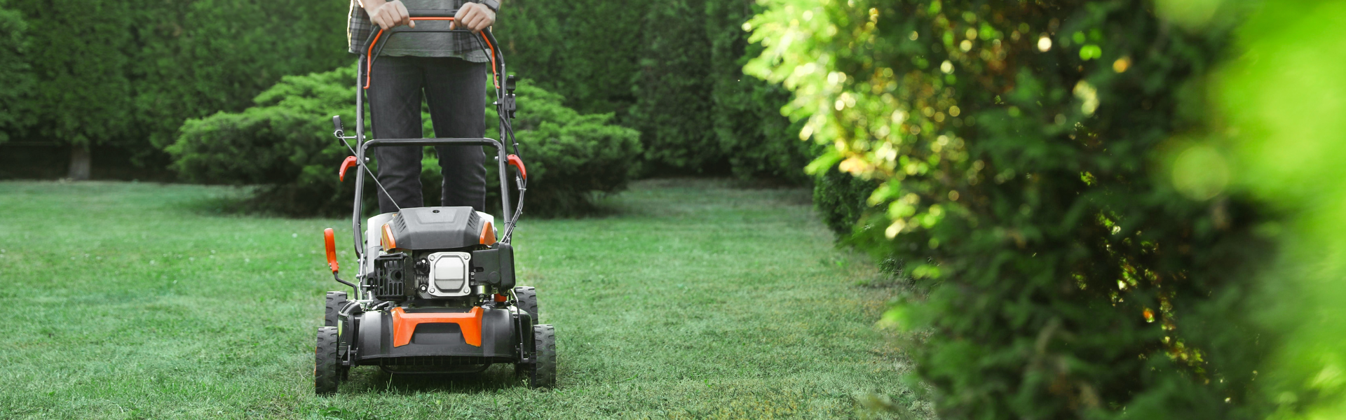 Kennedy's Home and Garden
