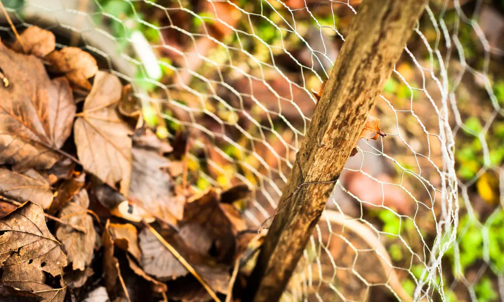 Leaf Mould - Soil Conditioner