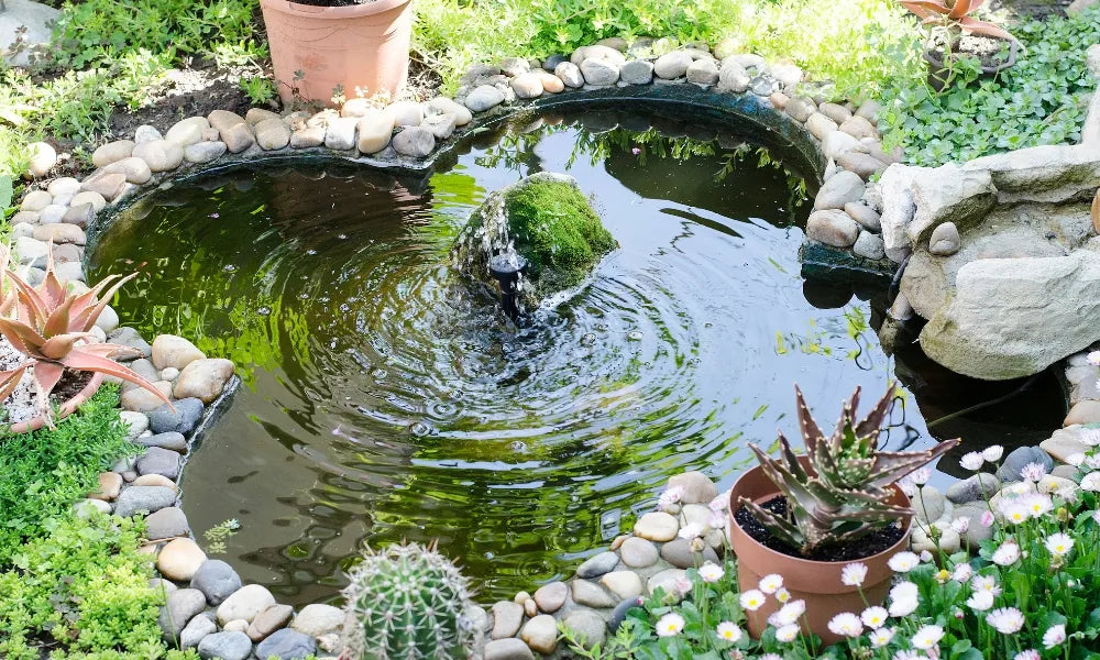 Water Feature Maintenance – Kennedy's Home and Garden