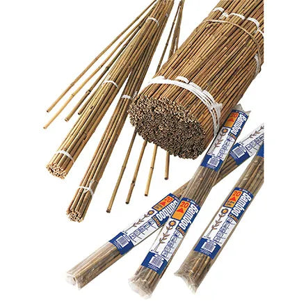 Grow It Bamboo Canes Bulk Bundle 10 Pack