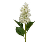 Hydrangea Stem Cream H100Cm