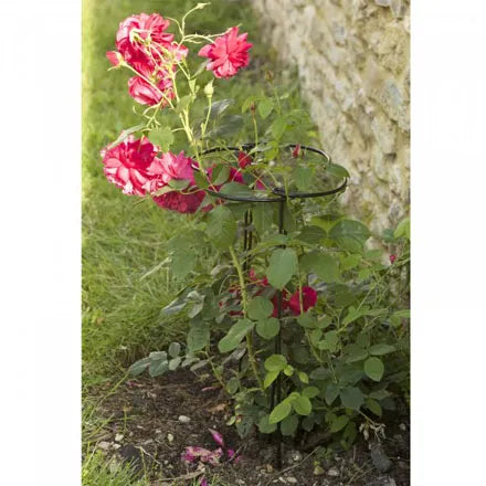 30/40cm Grow Hoops 2pk