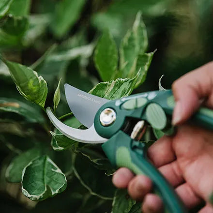 Gardeners Mate Bypass Secateurs