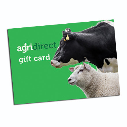 Gift Voucher €100