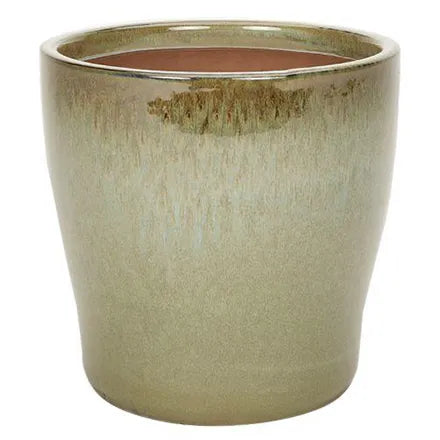 Apta Peacock Egg Pot Green or Blue