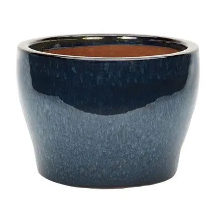 Apta Peacock Low Egg Pot Green or Blue