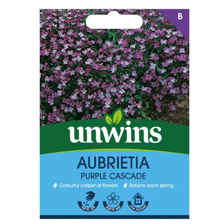 Unwins Aubrietia Purple Cascade