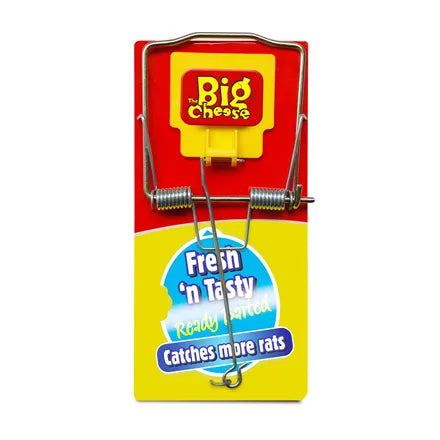Big Cheese Fresh Baited Rat Trap