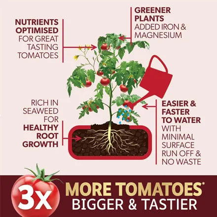 Westland Big Tom Super Tomato Concentrate 1L + 25% Extra Free
