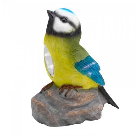 Bird Spotlights