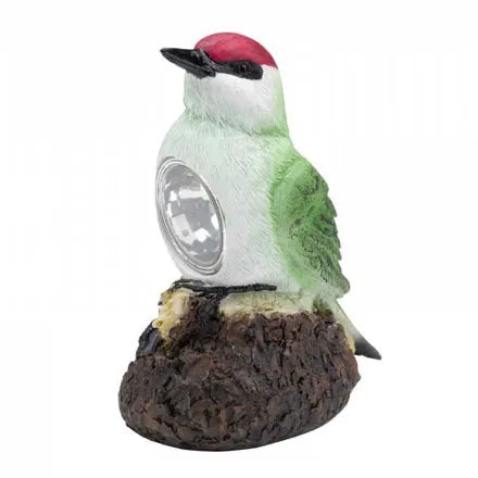 Bird Spotlights