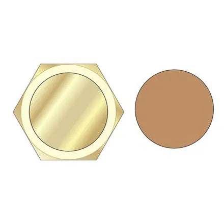 EP 3/4" Brass Compression Blanking Cap