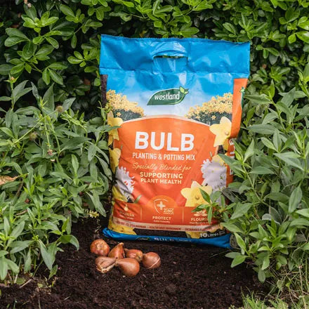 Westland Bulb Planting & Potting Mix 10L.