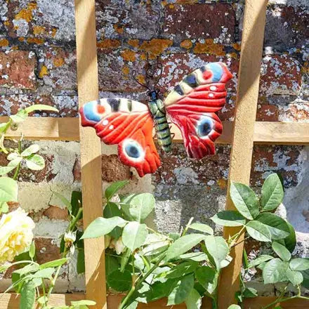 Large Butterfly