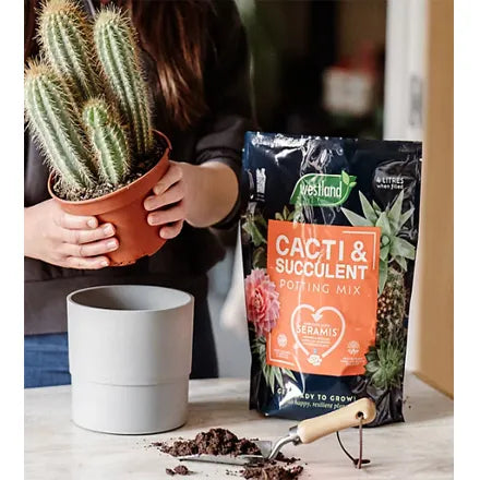 Westland Cacti & Succulent Potting Mix