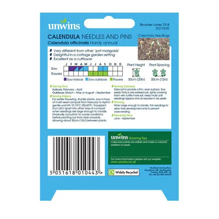 Unwins Calendula Needles and Pins