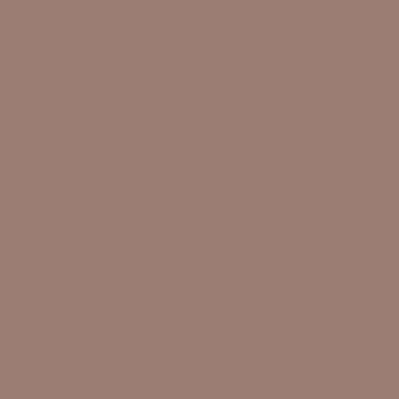 Colourtrend Contemporary Pot Chestnut Pink 100ml