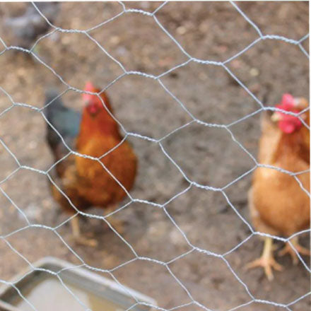 Galvanised Wire Netting