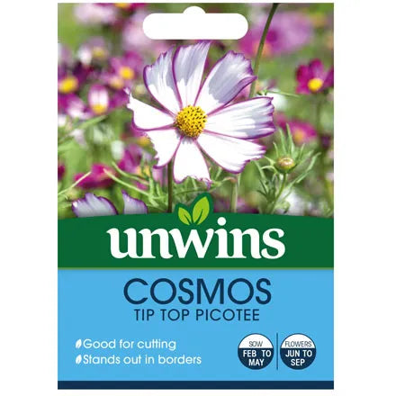 Unwins Cosmos Tip Top Picotee Seeds