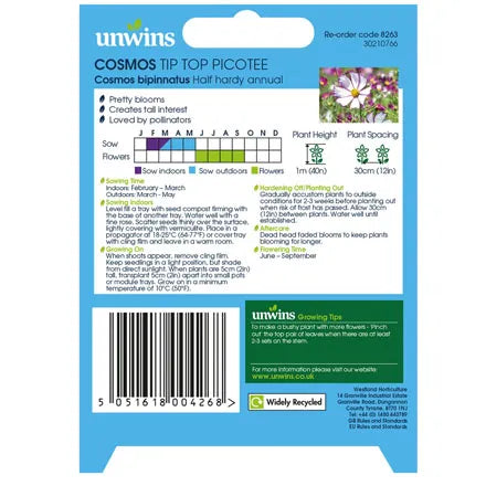 Unwins Cosmos Tip Top Picotee Seeds