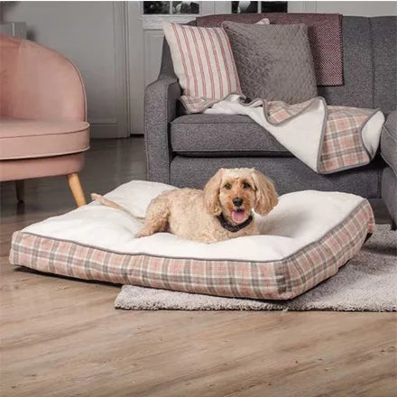 County Gusset Mattress