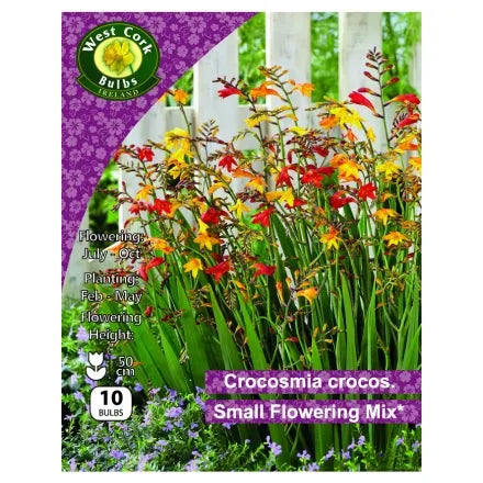 Crocosmia Crocos Small Flowering Mix Bulbs