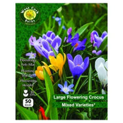 Crocus Large Flowering Mixed 50 Bulbs