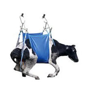Daisy Lifter (Kit in carrier bag)