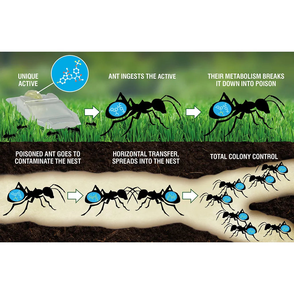 Deadfast Ant Killer Plus Bait Station 3 x 4g