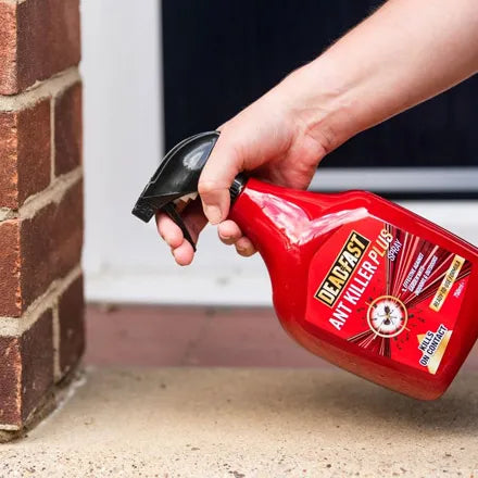 Deadfast Ant Killer Plus Spray RTU