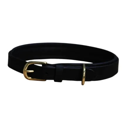 Mackey Padded Leather Dog Collar - Black Large (21")
