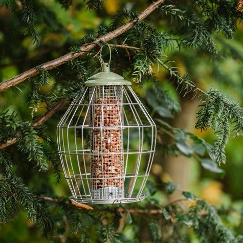 Peckish Canto Squirrel Proof Peanut Feeder