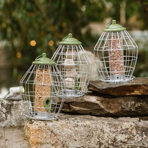 Peckish Canto Squirrel Proof Seed Feeder