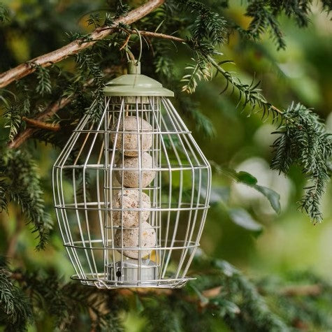 Peckish Canto Squirrel Proof Energy Ball Feeder