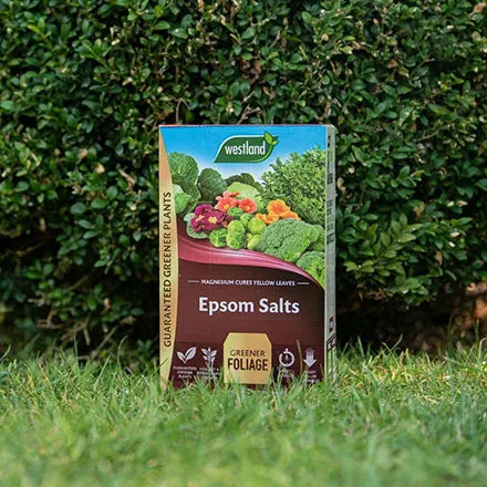 Westland Epsom Salts 1.5kg Box
