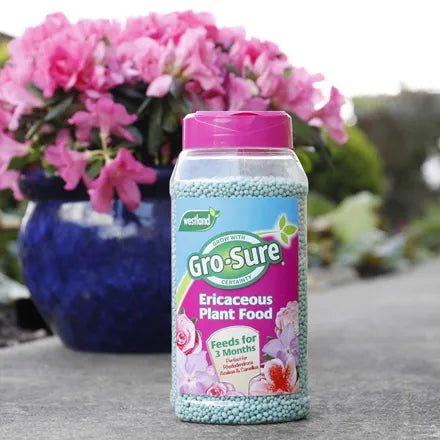 Westland Ericaceous Plant Food Granules Jar 900G