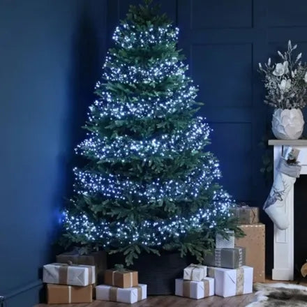 Festive Cluster Lights White 3000