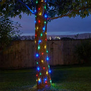 Firefly String Lights 100 LEDS - Multicoloured