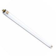T5 F6 W/35 22CM Fluorescent Tube