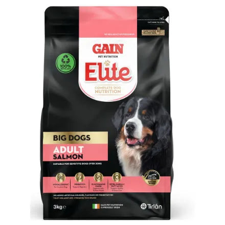 GAIN Elite Big Dogs Adult Salmon 12KG