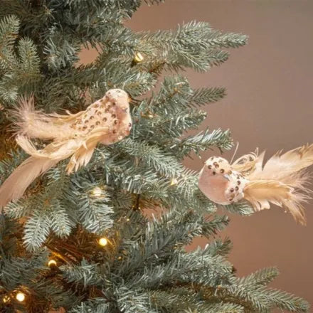 GlitterBird Gold 2pk
