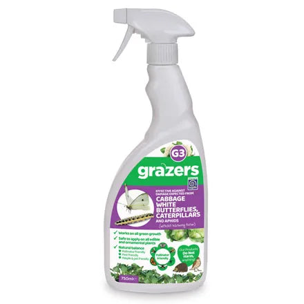 Grazers Cabbage White, Caterpillar and Aphid