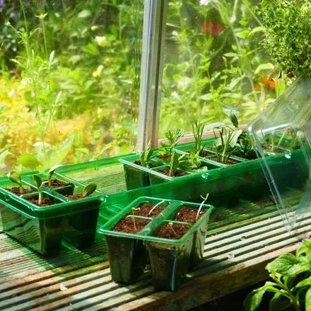 Gro-Sure Visiroot Windowsill Propagator