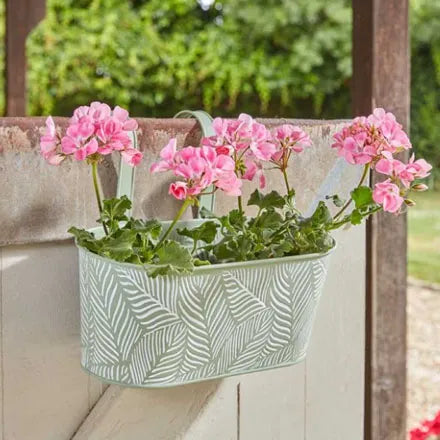 Fence and Hanging Planter 12in - Fern (Sage)