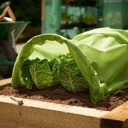 Grow It Heavy Duty Thick Fleece 10 x 1m