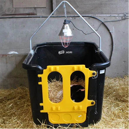 Calf Isolation Unit