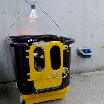 Calf Isolation Unit