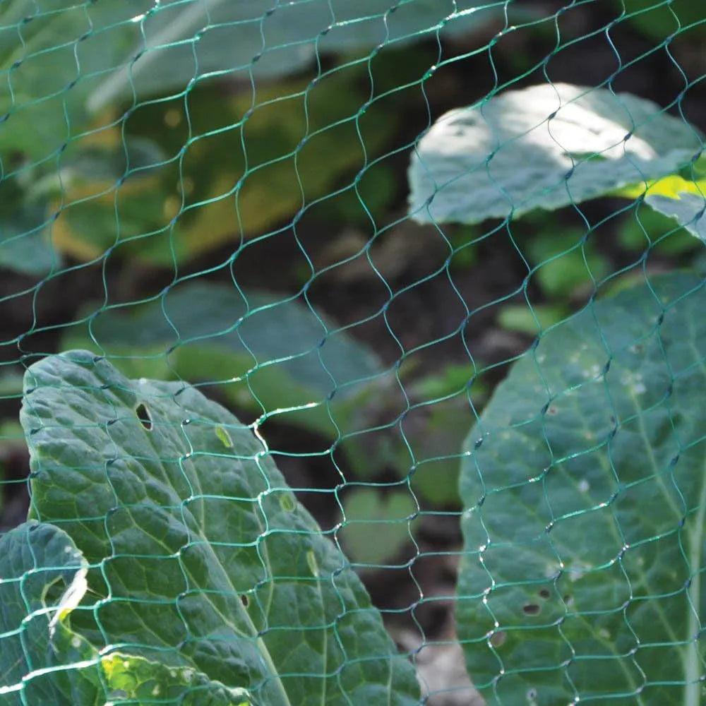 Kingfisher Garden Netting 3 x 2m