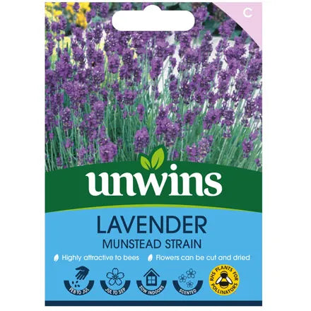 Unwins Lavender Munstead Strain
