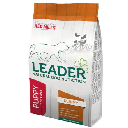 Leader Puppy Medium Breed
